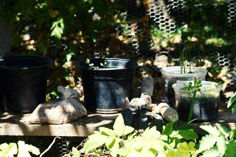 Frühjahrsstart im Garten: So gelingt die Pflege nach dem Winter
